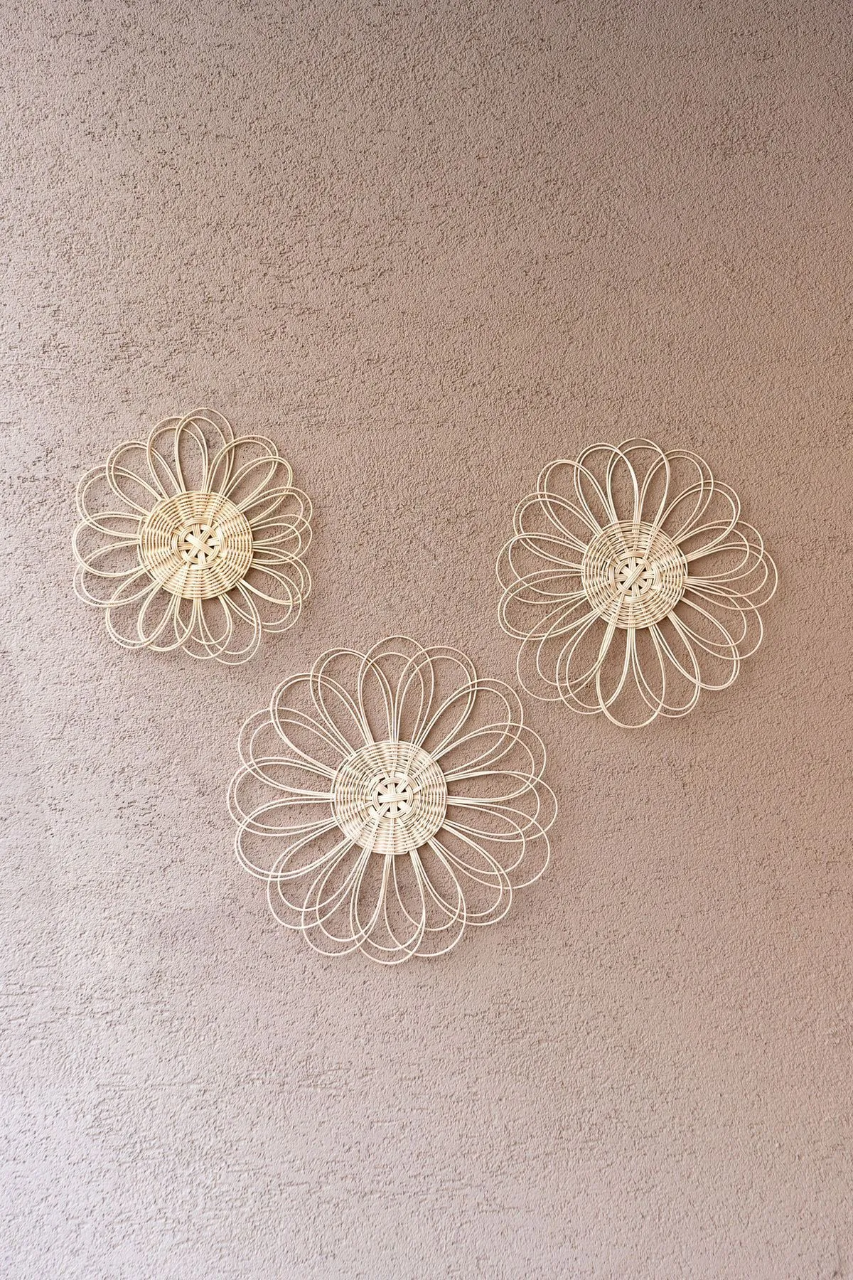 Rattan El Yapımı Duvar ve Bahçe Süsü - Görsel 5