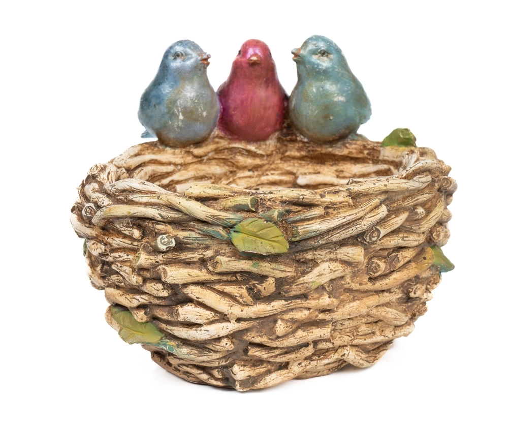 Gıybet Kuşları Saksı - Görsel 3