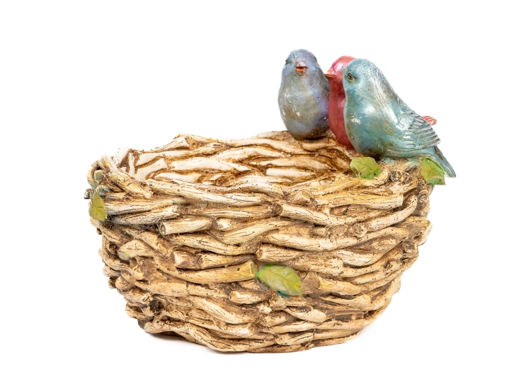 Gıybet Kuşları Saksı - Görsel 4