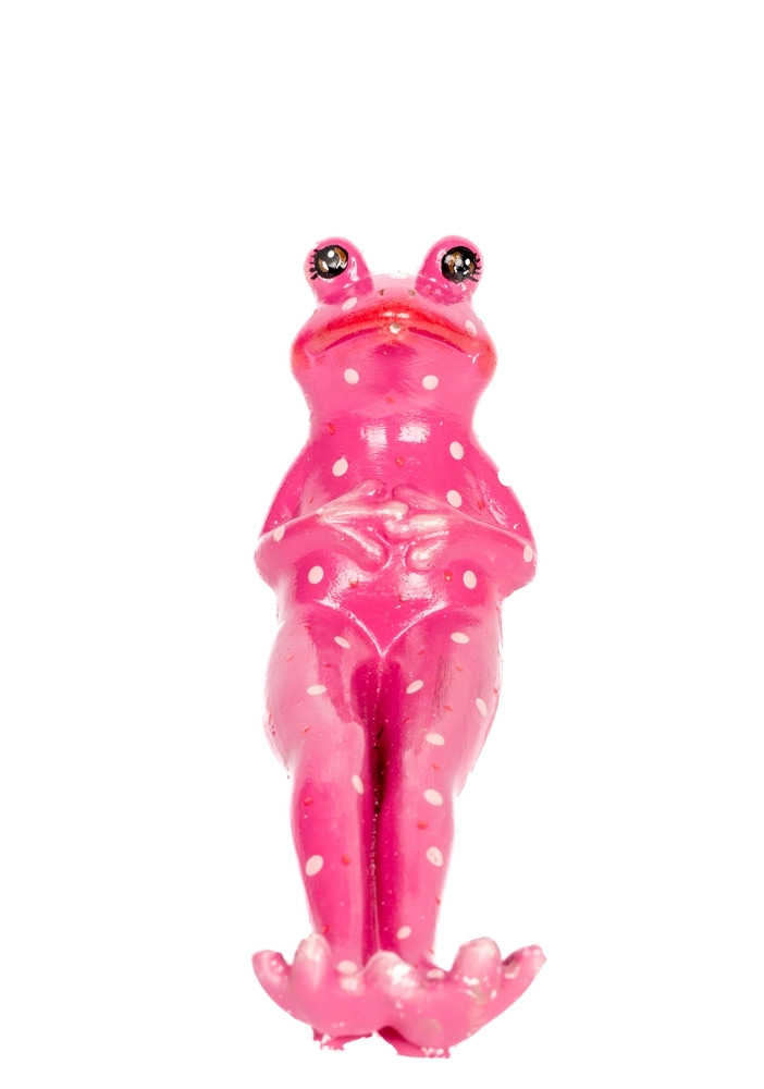 Kurbağa Çubuk Tütsülük- Pembe