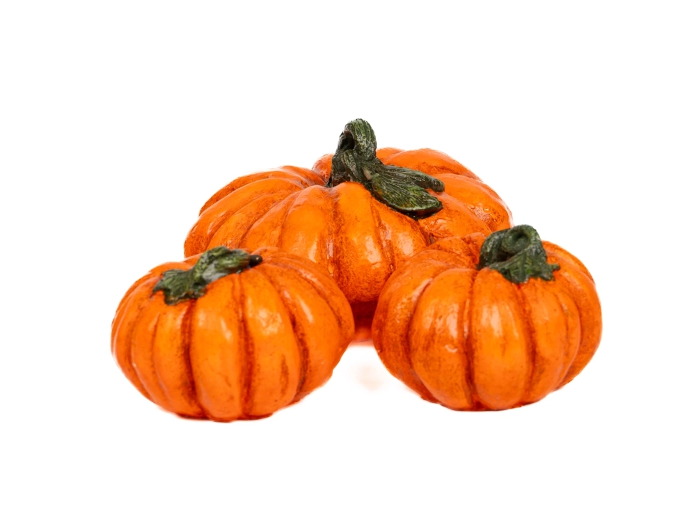 Üçlü Kabak Set - Görsel 2