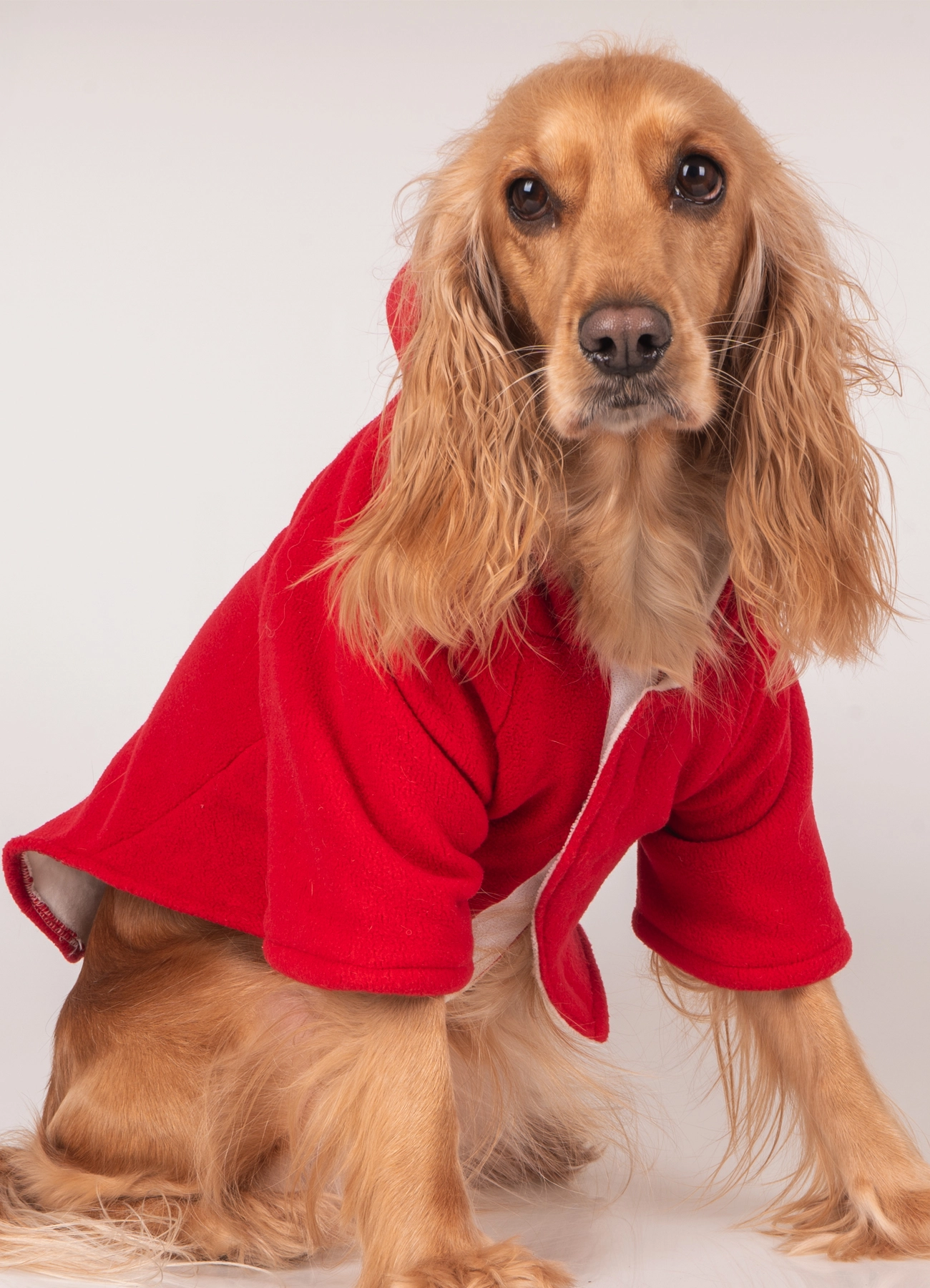 Yılbaşı Temalı Kapüşonlu Polar Köpek Kıyafeti - Görsel 2