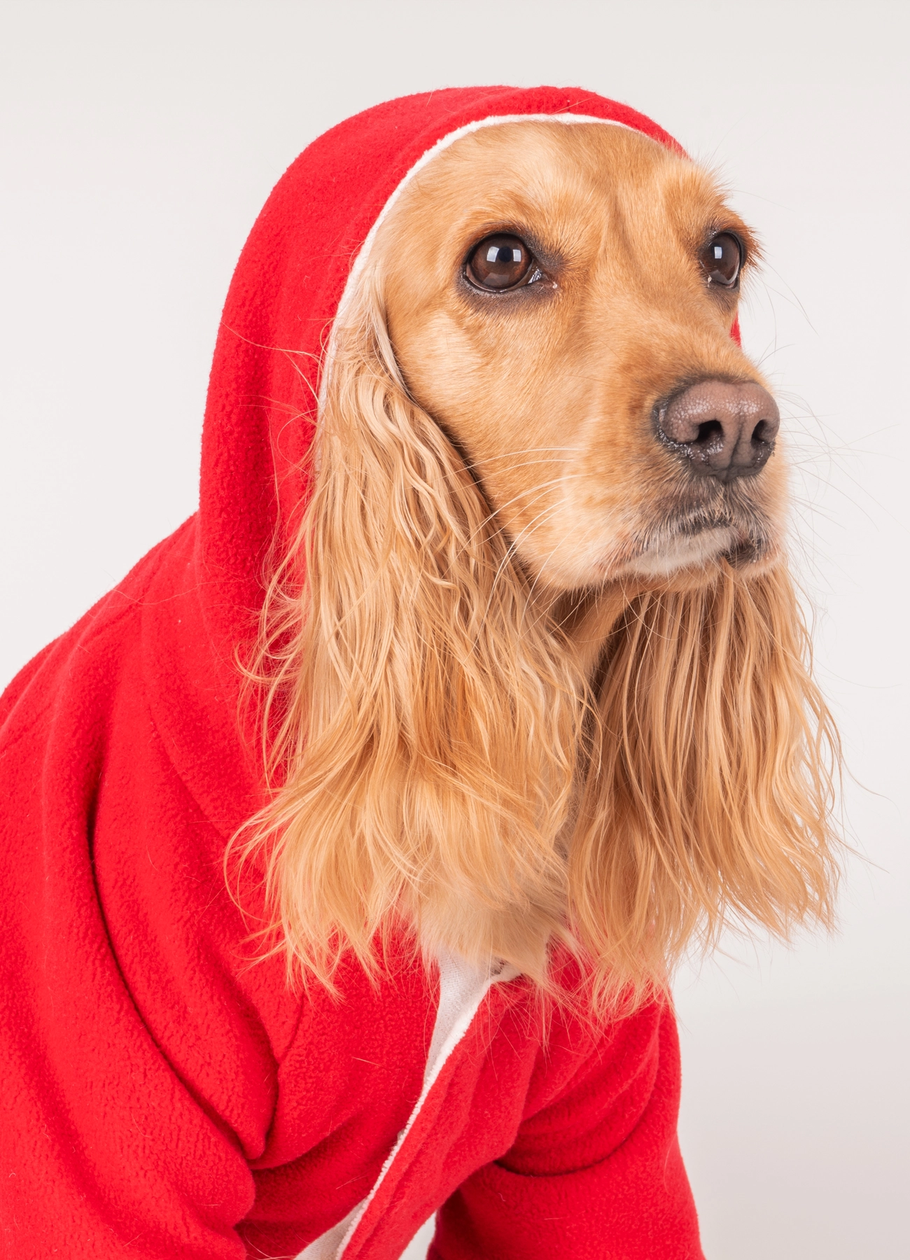 Yılbaşı Temalı Kapüşonlu Polar Köpek Kıyafeti